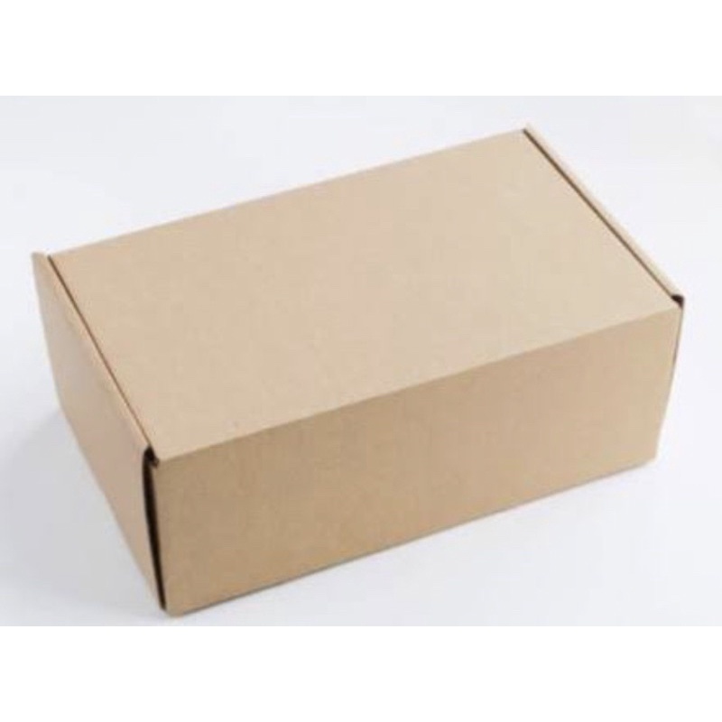 

Box Packing Serba Guna (25 x 15 x 10 cm) MURAH