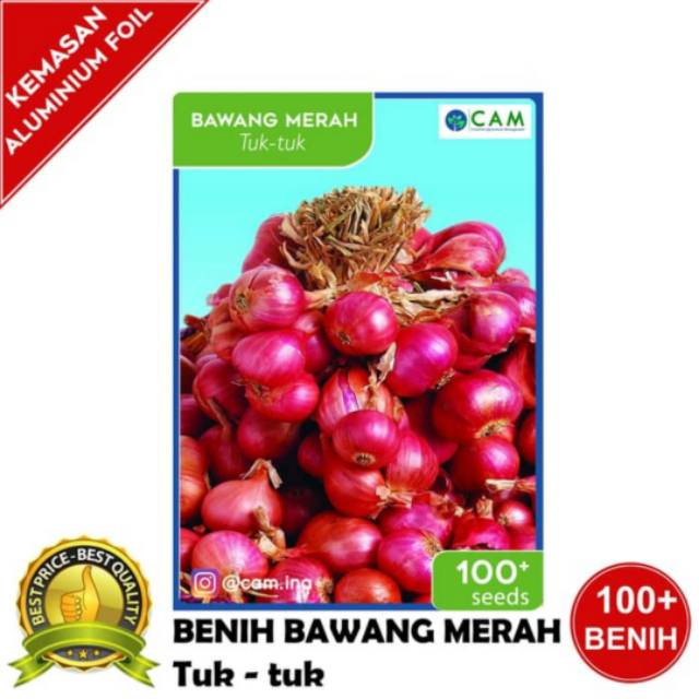 Benih bibit bawang merah