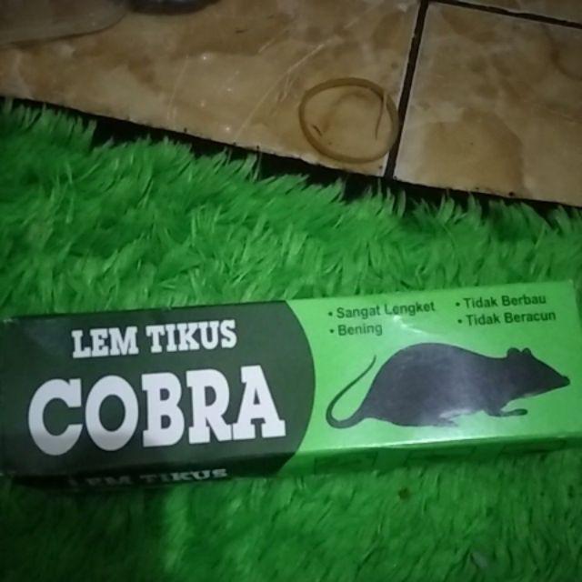 Lem Tikus