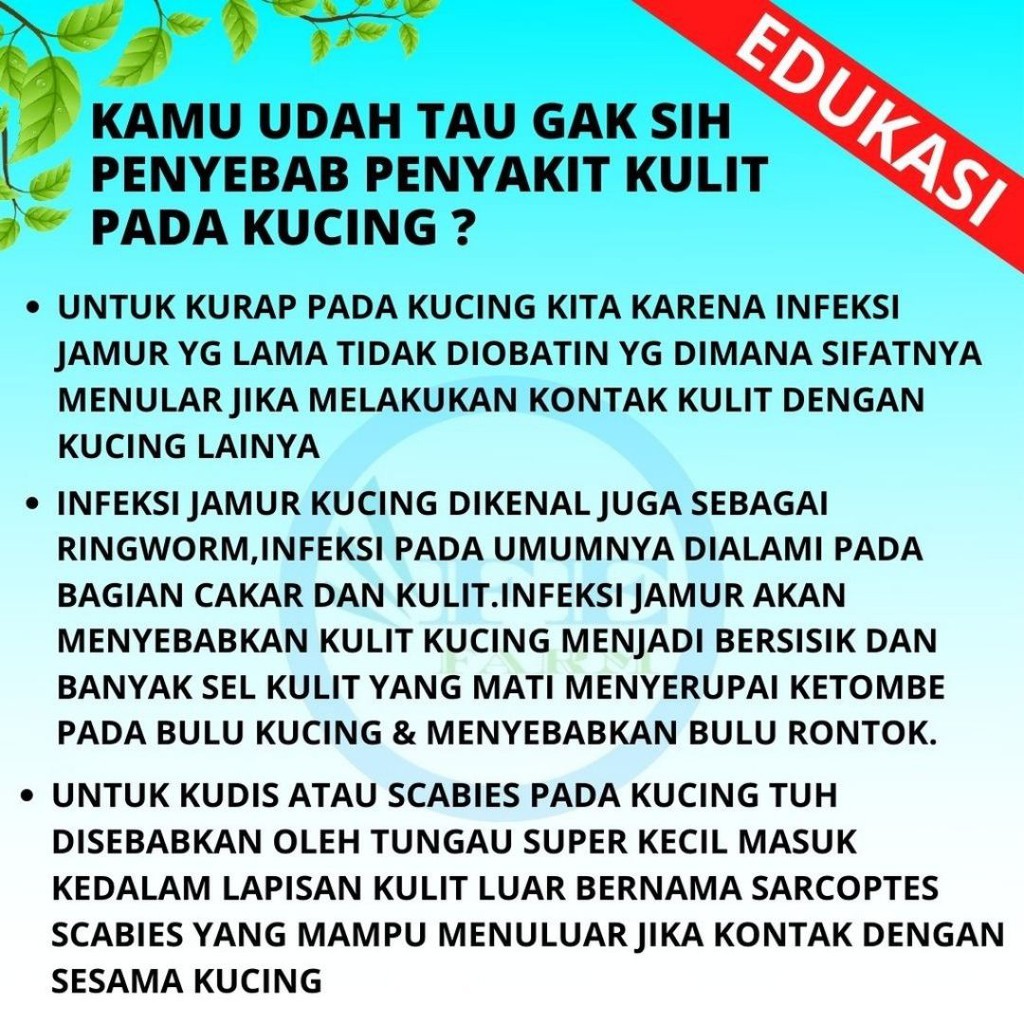 VIRGIN COCONUT OIL 30ml MINYAK KELAPA MURNI VCO MURNI OBAT JAMUR OBAT SCABIES KUCING OBAT BULU HEWAN