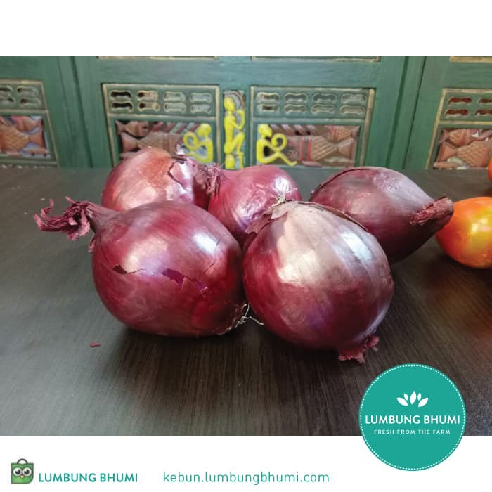 

HOT SALE BAWANG BOMBAY / BOMBAI MERAH ( SAYUR - SAYURAN CURAH ) !!!
