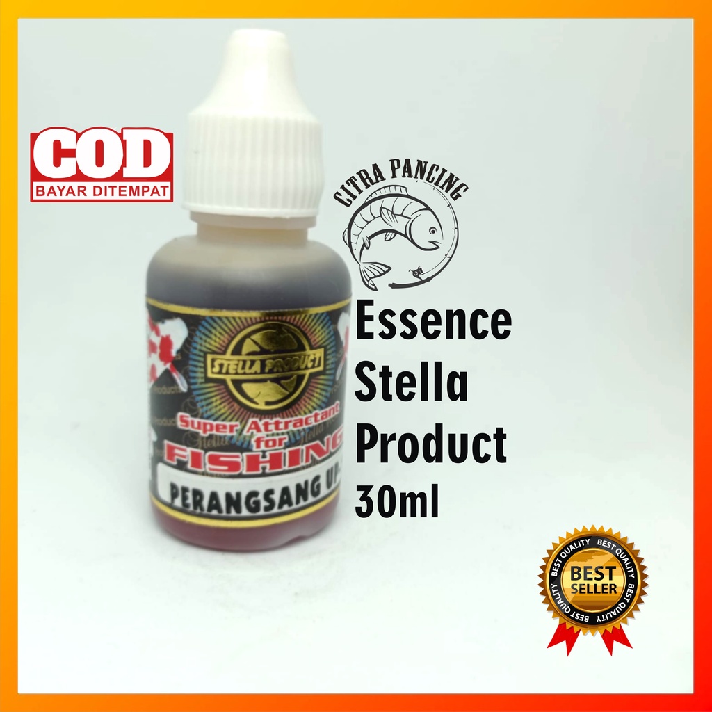 Essen stella - Prangsang UP 1