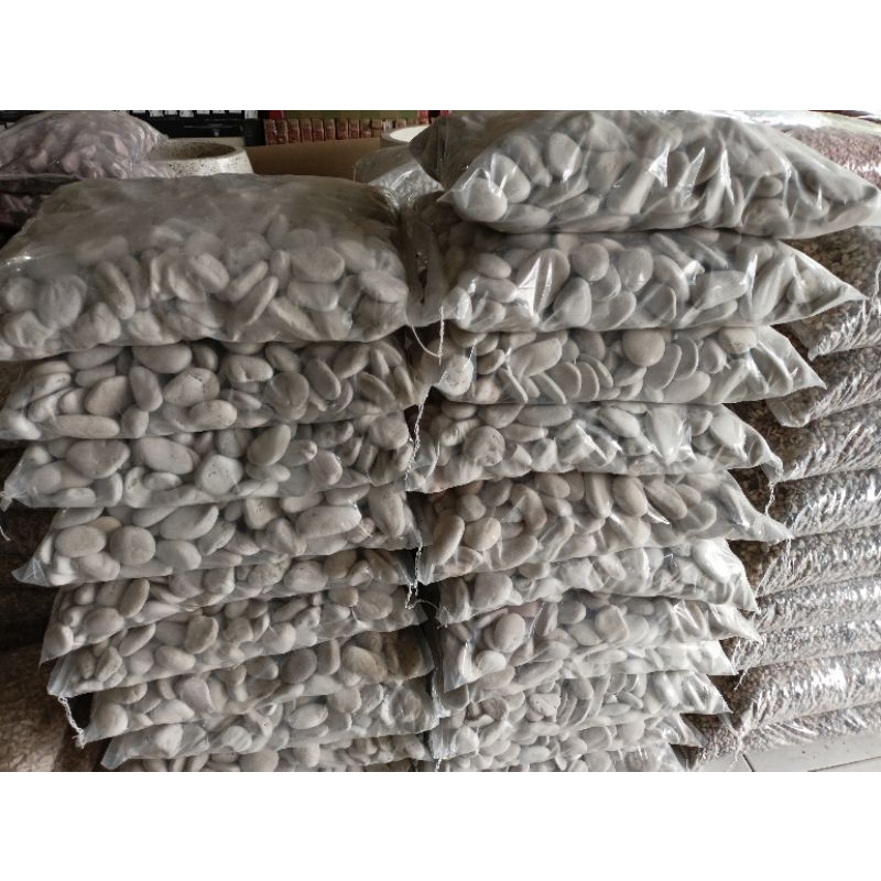 Crystalcove12 Batu Koral Putih Kupang Hiasan Taman 5Kg