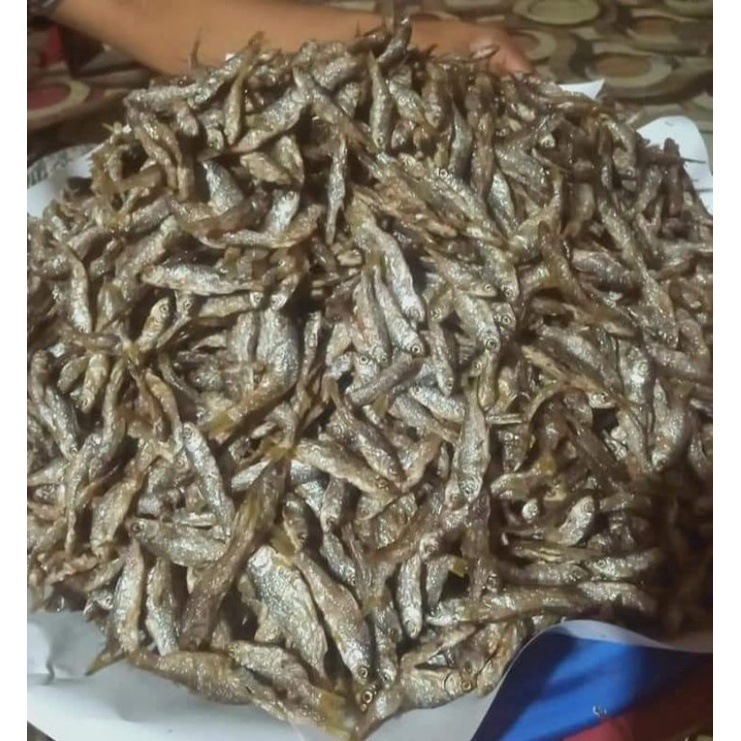 

ikan bilih asli danau Singkarak