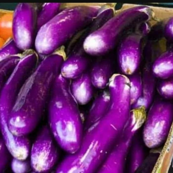 TERONG UNGU EGGPLANT SAYUR SAYURAN SEGAR FRESH 500GR