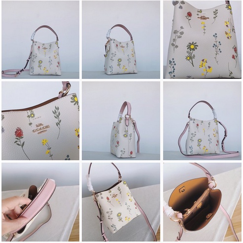 [Instant/Same Day]  3238  2310  2811   3411  7245  3598  Coach Charlie Bucket 21 Lemonade Watermelon Butterfly Bucket Bag   stb