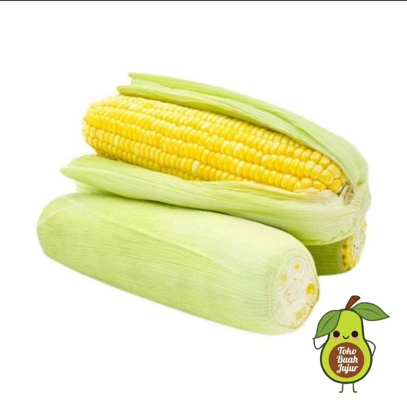 

JAGUNG MANIS FRESH
