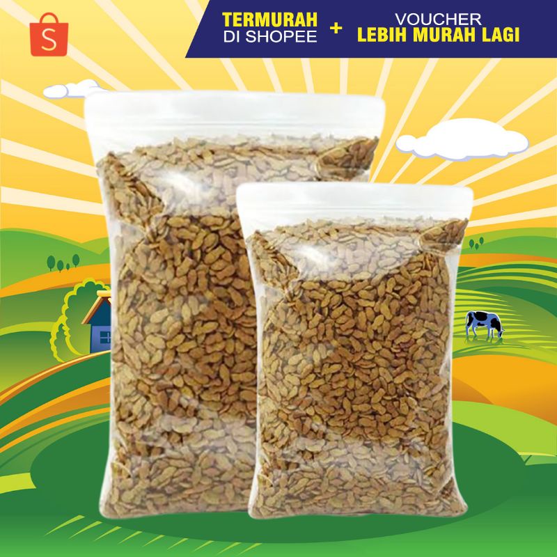 Makanan Landak Mini Hedgehog Dryfood Rasa Tuna 1 KILO