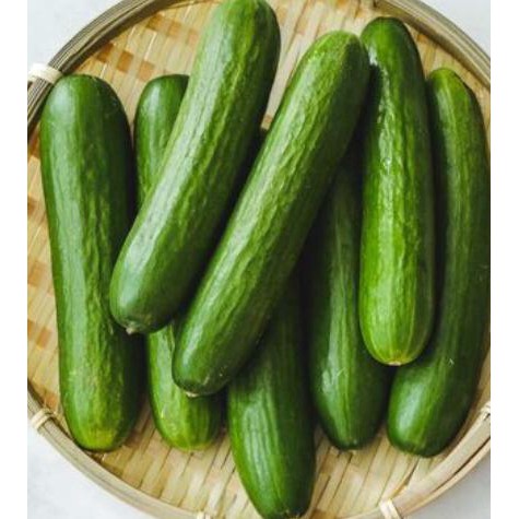 

SAYURAN SEGAR TIMUN JEPANG KETIMUN KYURI SAYUR HIJAU SEGAR FRESH VEGETABLE