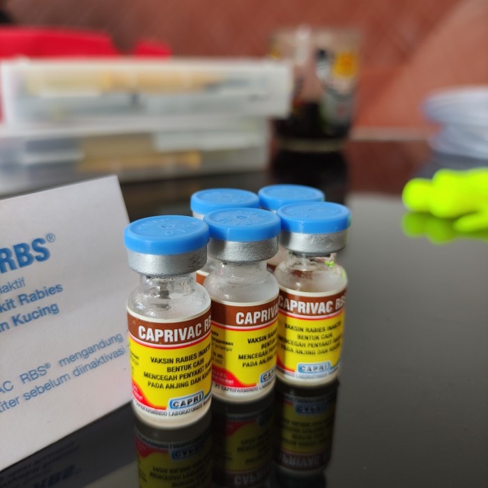 Vaksin rabies inaktif Caprivac (BERKUALITAS)