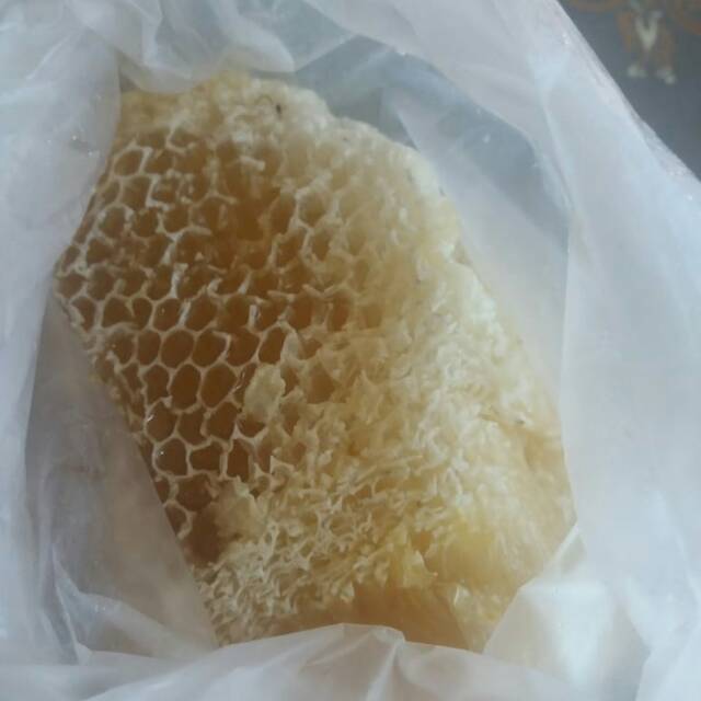 

Sarang Madu Murni