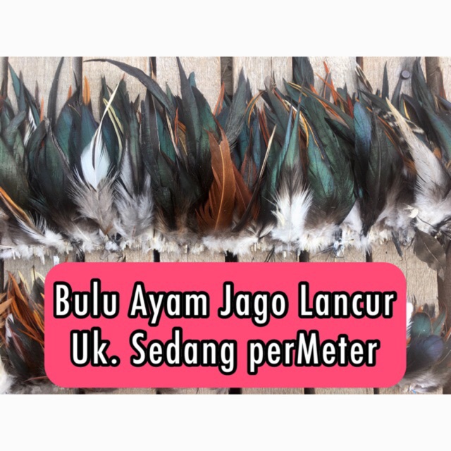 Bulu Ayam Jago Lancur Uk.Sedang dijual perMeter