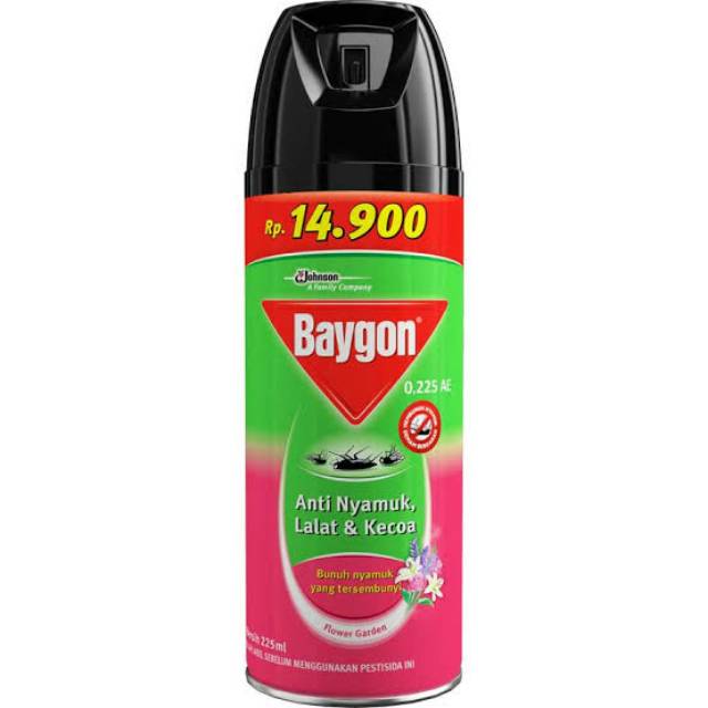  Baygon  aerosol anti  nyamuk  200 ml Shopee Indonesia