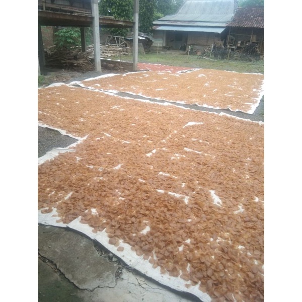 

Krupuk petis ikan dan udang JITU