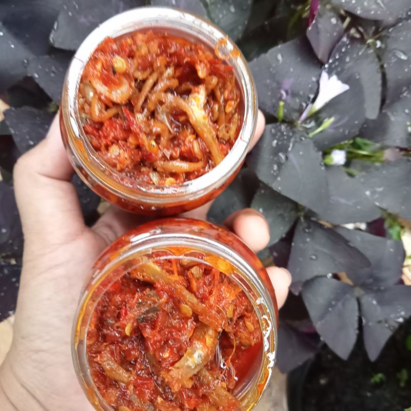 

SAMBEL TERI MEDAN