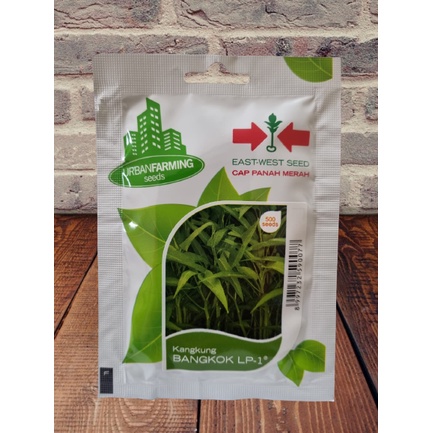 Benih Kangkung Bangkok