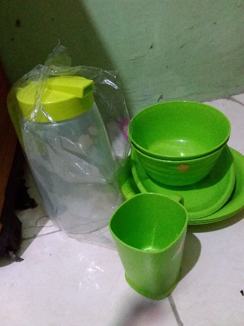 Teko Air Florida Lion Star