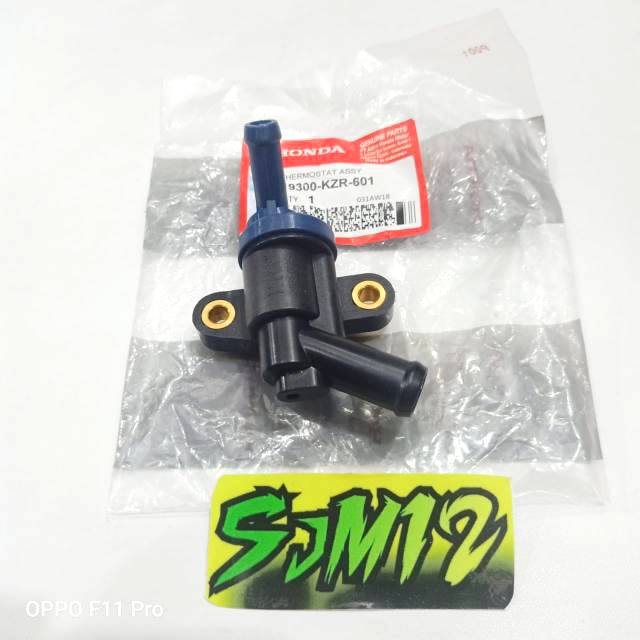 Thermostat termostat Vario 125 f1 THERMOSTAT VARIO125