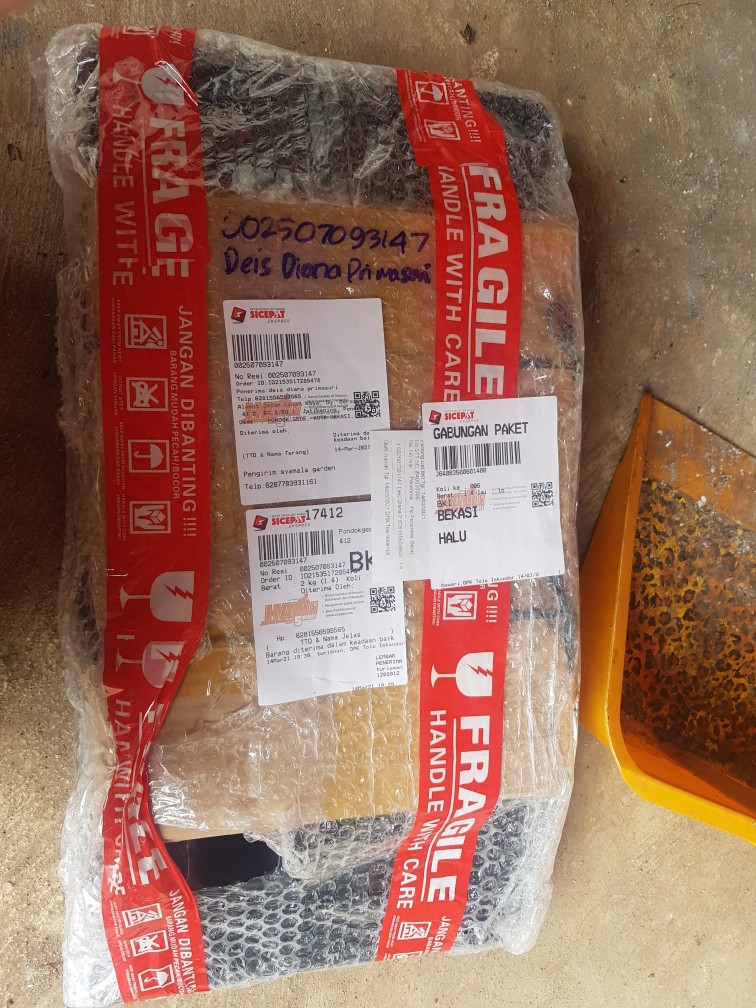 Traypot Tray Semai Pot Semai 50 Lubang Pot Tanaman Traypot Seedling Bibit Nampan Hidroponik