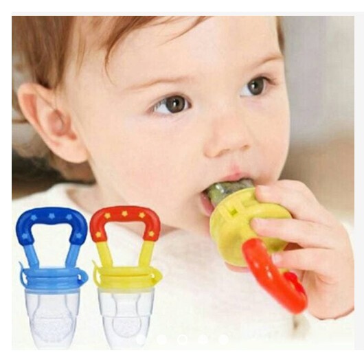 Empeng Buah/Sayuran Bayi Baby Food Feeder Baby Fruit Pacifier  Bahan Silicone CBKS LC