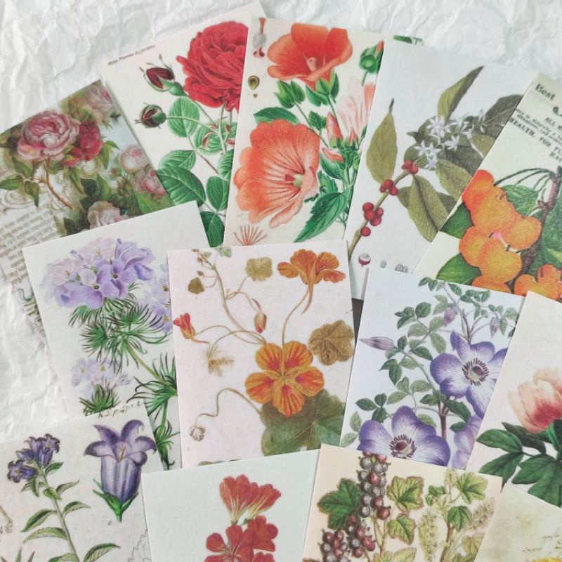 

STIKER SPRING VINTAGE