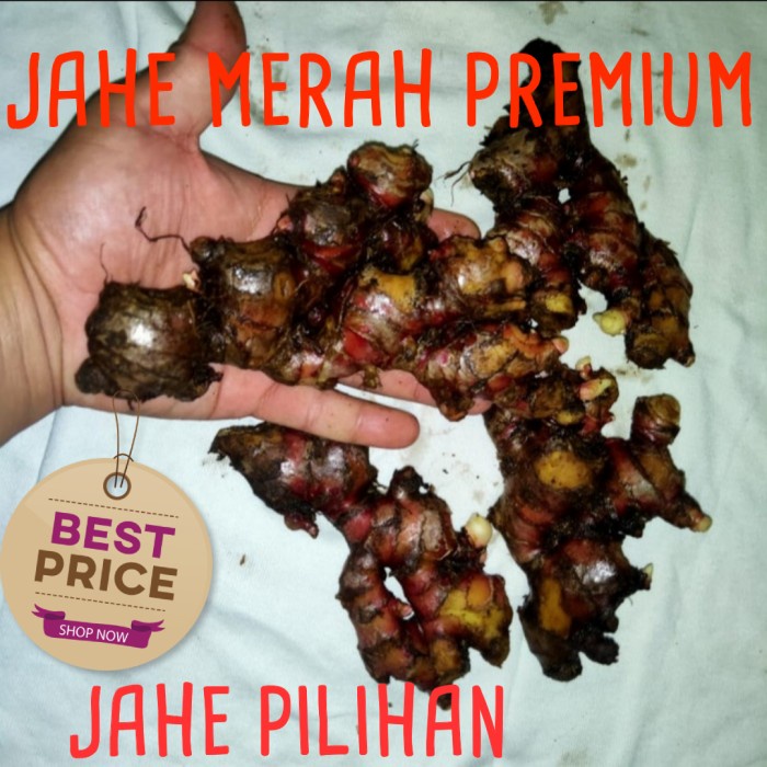 

tradisional-minuman- jahe merah super premium (jahe pilihan) 1 kg -minuman-tradisional.