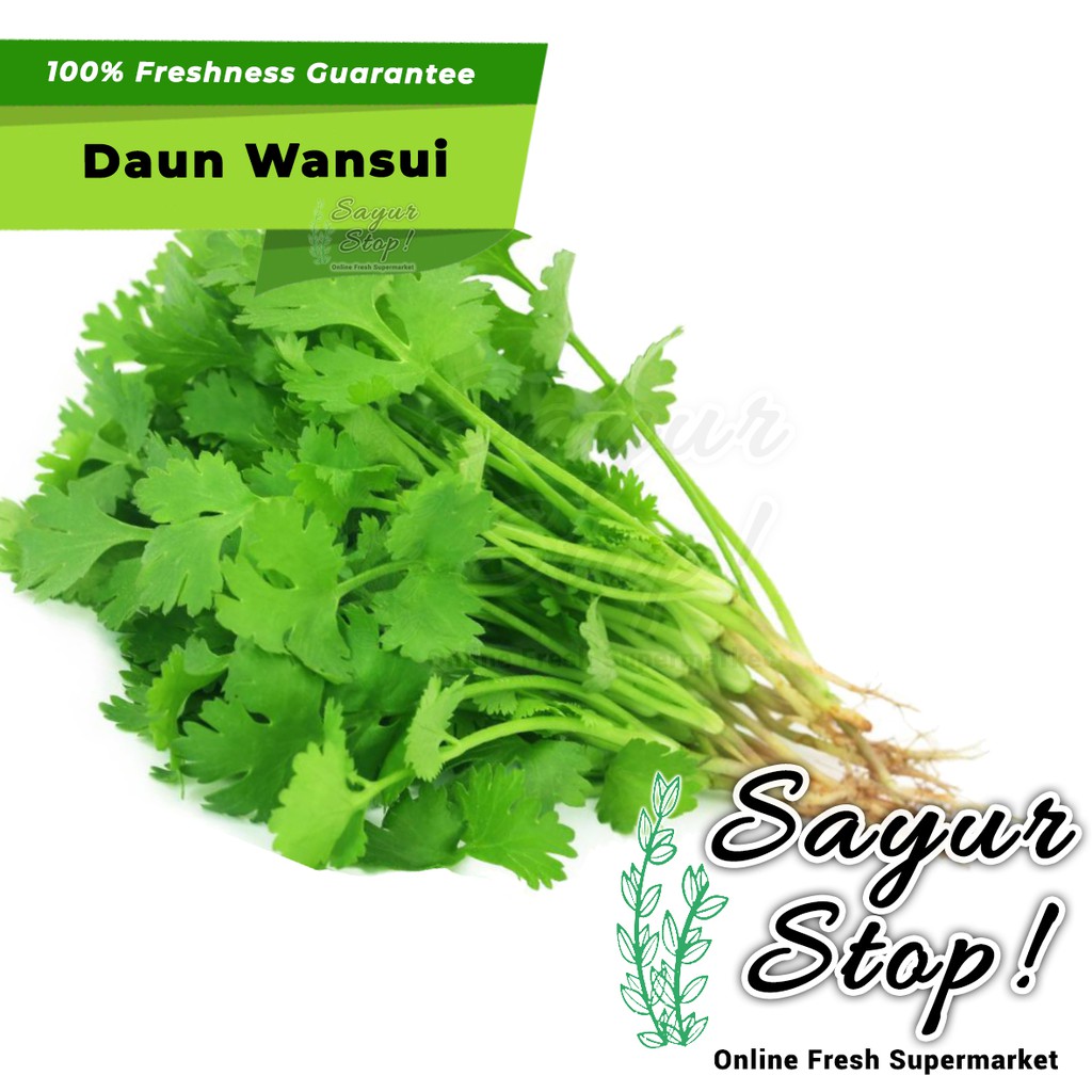 

Sayur Stop Daun Wansui / Daun Ketumbar / Daun Cilantro