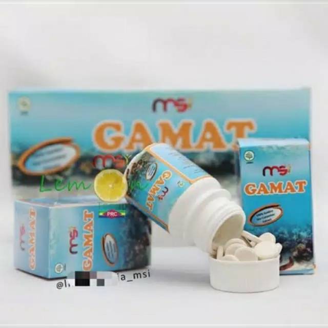 Gamat Msi