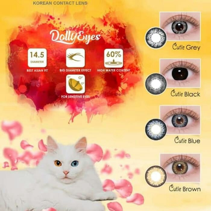 SOFTLENS OMEGA CUTIE CAT EXP. 2024/04