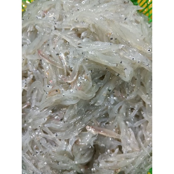 

ikan teri nasi teri Medan ikan segar harian 1kg