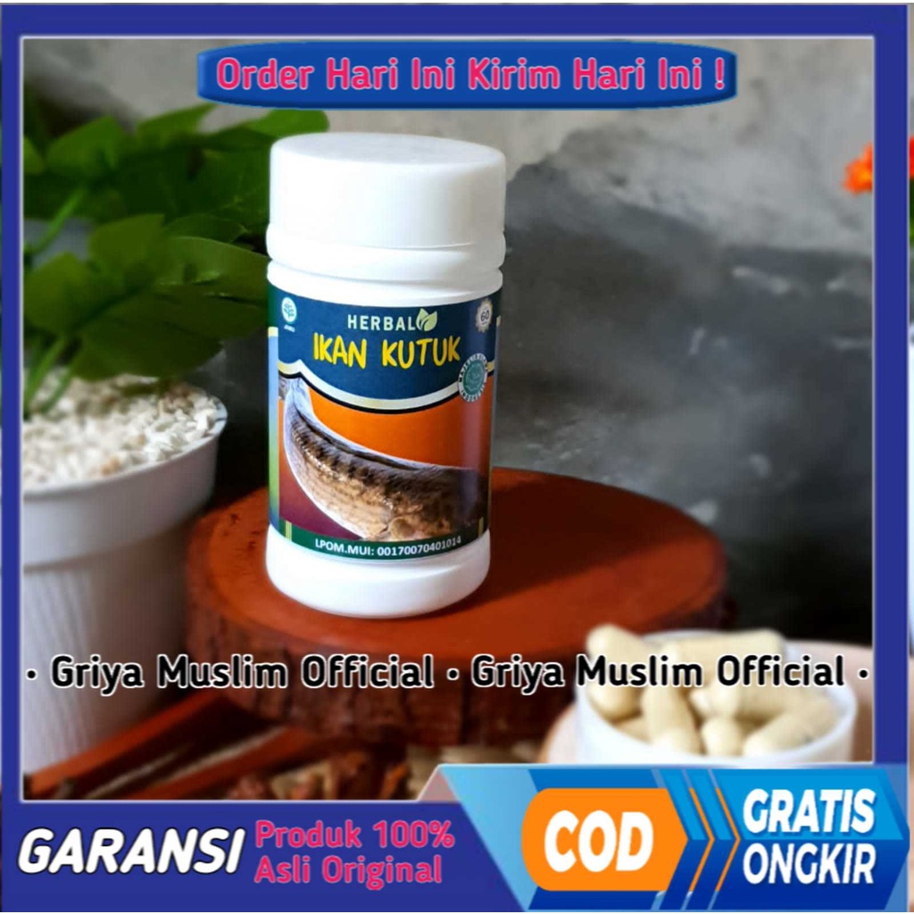 

[60kapsul] Kapsul ikan kutuk ORIGINAL Obat Herbal Terbaik 60 kapsul