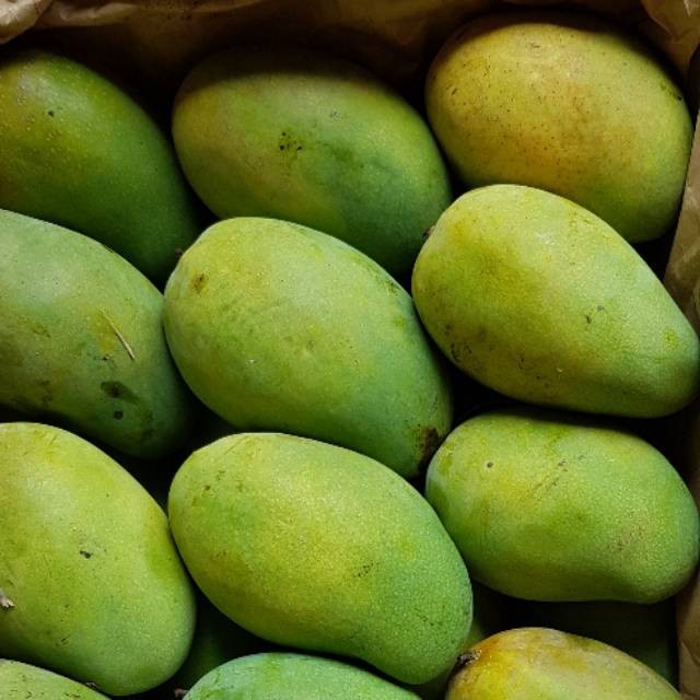 

Mangga Arumanis || 1Kg