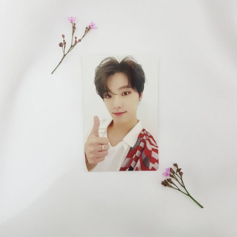 Dino flfl fallin flower