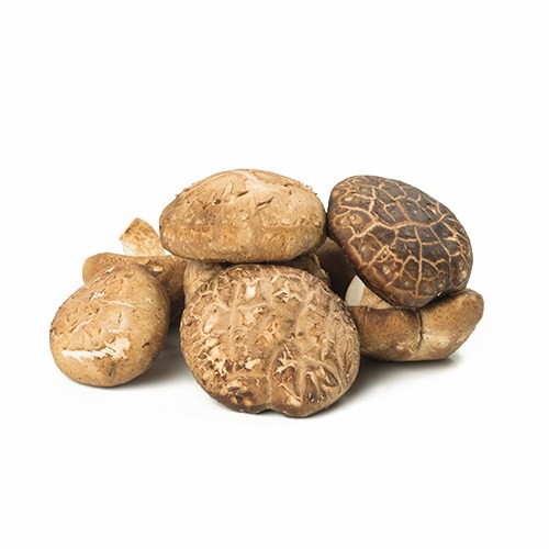 

Jamur Shitake 250gr