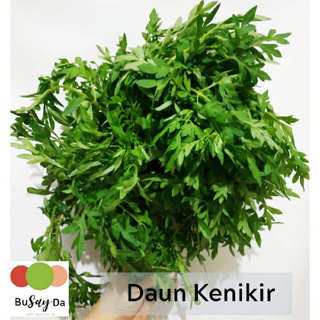 

Sayur Daun Kenikir segar 1 ikat • toko buah sayuran segar Busayda
