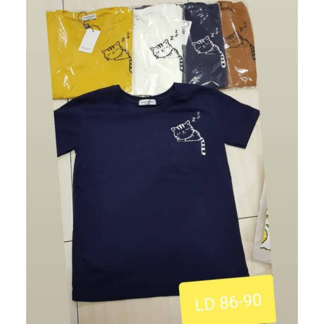 Kaos Giant Basic Cat