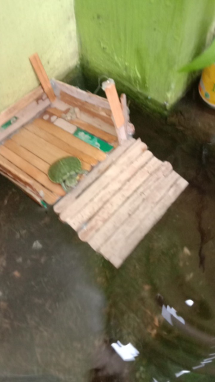 Pakan Kura Kura Turtle Food 80gr