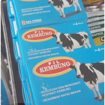 Kembung Obat Kembung Sapi Domba Dan Kambing Shopee Indonesia