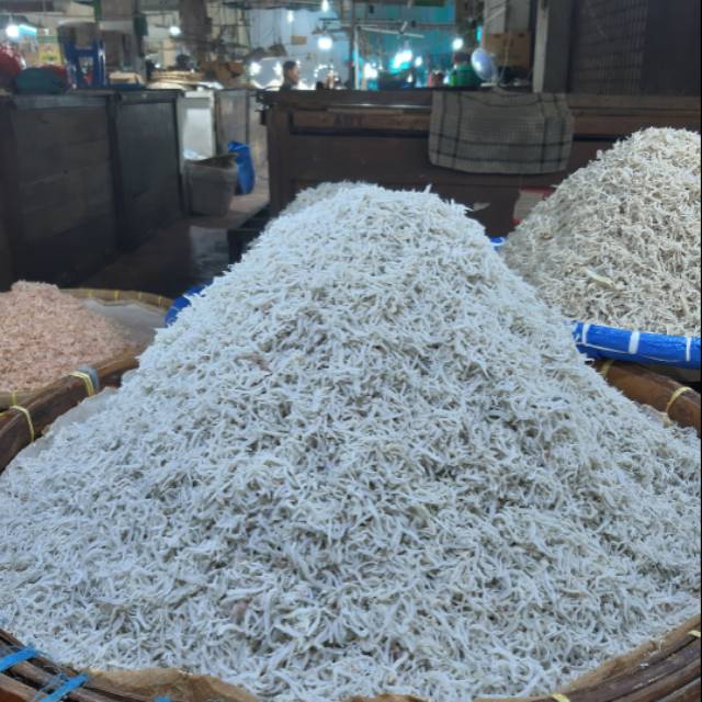 

Ikan Teri Medan Rp.120.000/kg