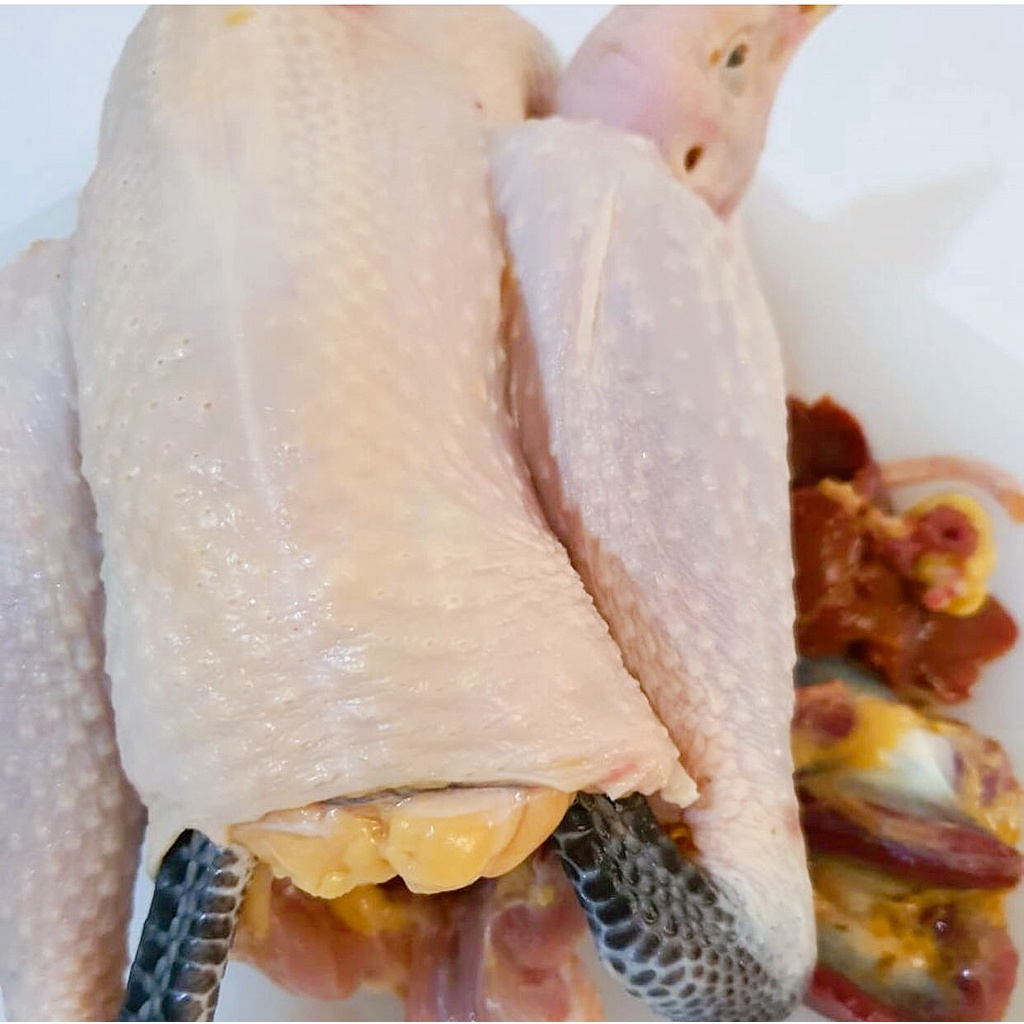 

Ayam Kampung Utuh I Ayam Kampung Harga Per Ekor