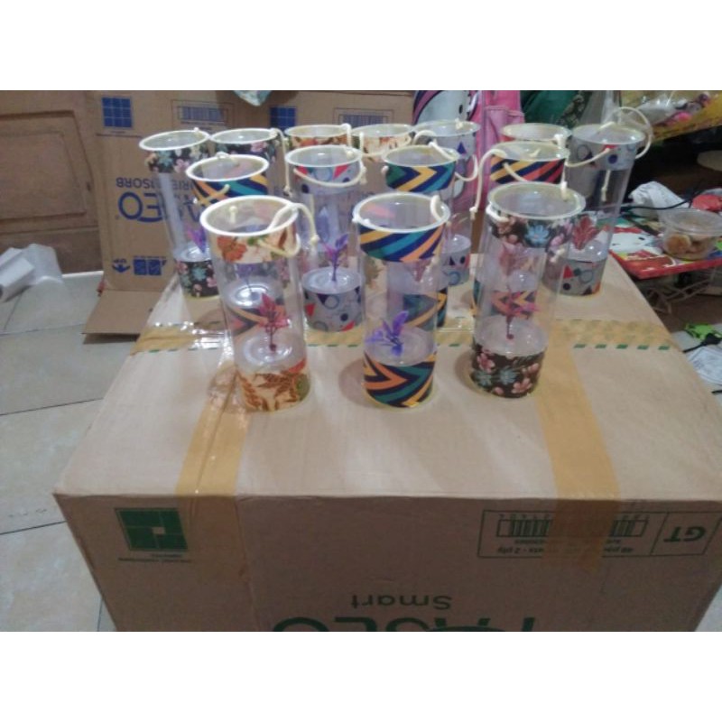 Aquarium cantik mini ikan cupang
