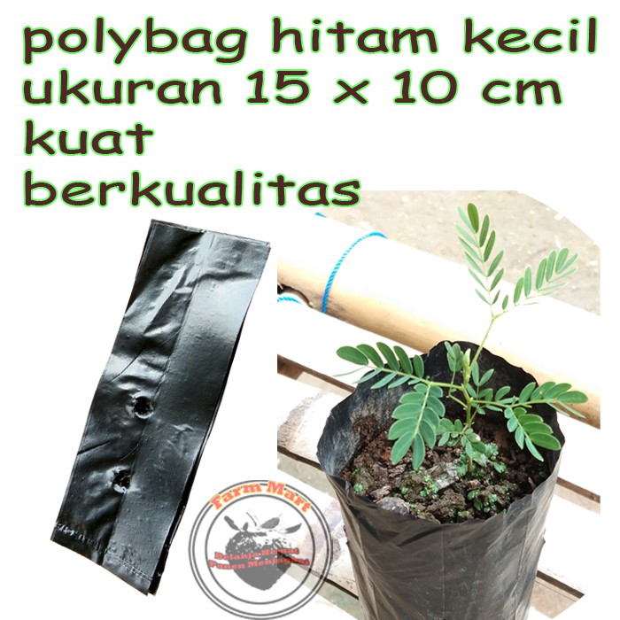 Polybag Polibag Hitam Kecil Super Ukuran 15 X 10 Centimeter Untuk Semai Benih Sayuran Dan Buah