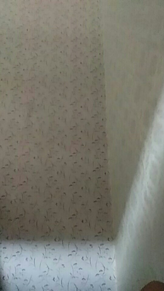 Sotil Kue Mini Sodet Apel Bikang Lumpur Pegangan Kayu