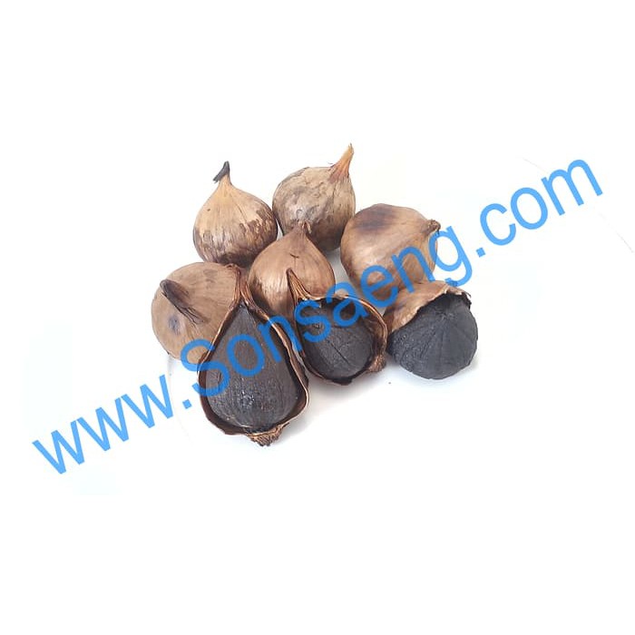 

Solo Black Garlic Bawang Hitam Tunggal Bawang Hitam Lanang Diskon