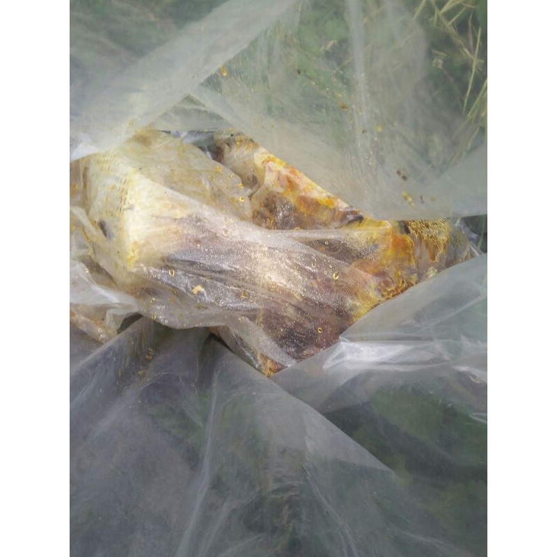 

madu asli rimbo payo