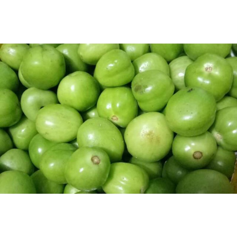 

Tomat hijau segar 500 gr