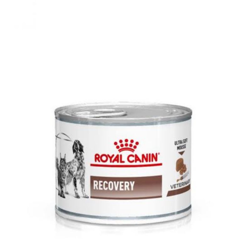 Makanan Kucing/Anjing Royal Canin Recovery 195gr