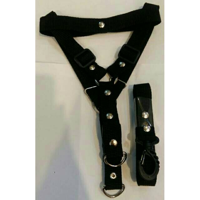 2 Cm Harness Y + Tali tuntun / tali kekang / tali badan anjing dog