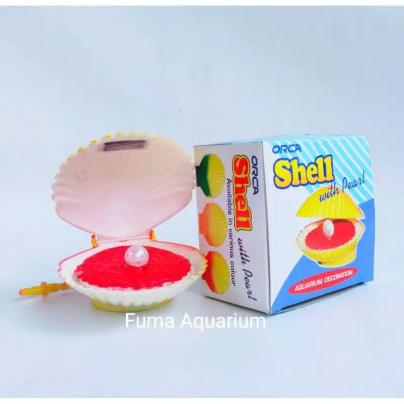 ORCA SHELL Kerang Mutiara Mainan Aquarium Dekorasi Aquarium