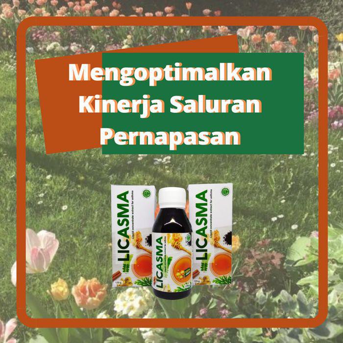 Madu Herbal Alami Licasma Ampuh Untuk Asma Sesak Nafas